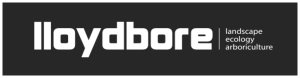 Visit Lloydbore website